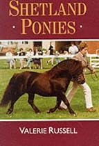 Shetland Ponies (Horses & ponies)