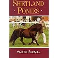 Shetland Ponies (Horses & ponies)