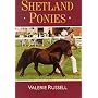 Shetland Ponies (Horses & ponies)