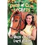 Blaze and the Dark Rider (Pony Club Secrets)