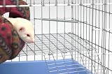 Marshall Ferret Corner Deterrent, 4-Pack