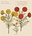 Luigi Boccherini: Sechs Sonaten f�r Cembalo und Violine Op.5 L=0: my-fan-page.de