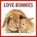 Love Bunnies 2010 Wall Calendar (Calendar)