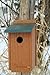 Woodlink NAGGBB Audubon Going Green Bluebird House , 12 Inch