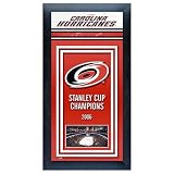 Carolina Hurricanes Stanley Cup Champions Framed Wall Art