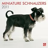 \"Schnauzers