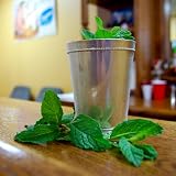 Mint Julep Cup - 10 fl oz