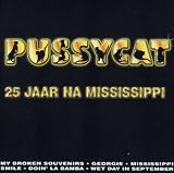 25 Jaar Na Mississippi