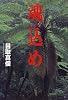 魂込め(まぶいぐみ)