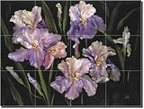 Collection of Irises by Carolyn Cook - Ceramic Tile Mural 12.75 x 17 Kitchen Shower Backsplash