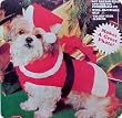SMALL - Doggy Santa Suit - Dog Costume