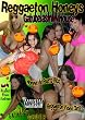 Reggaeton Honeys - Gatas Sandungueras Girls DVD Vol 3