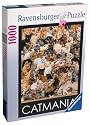 Cat Mania