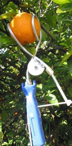 Fruit Picker, the Twister Picker