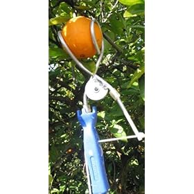 fruit picker tool