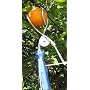 Fruit Picker, the TwisterPicker