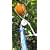 Fruit Picker, the TwisterPicker