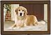 golden retriever - Dog Breed Doormats by Fiddlers Elbow - Golden Retriever