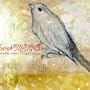 Under Your Bright Wings