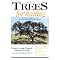 All the My Tree Books Relating to the Ogham