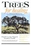 Trees for Healing: Harmonizing with Nature for Personal Growth and Planetary Balance