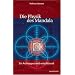Die Physik des Mandala: Ein Archetypus wird entschl�sselt