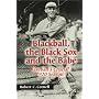 Blackball, the Black Sox, and the Babe: Baseball's Crucial 1920 Season