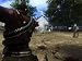  : Call of Juarez (DVD-ROM)