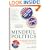 Mindful Politics: A Buddhist Guide to Making the World a Better Place