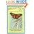 Breaking Out of Environmental Illness: Essential Reading for People with Chronic Fatigue Syndrome, Allergies, and Chemical Sensitivities