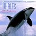 Book Whales & Dolphins Calendar 2000
