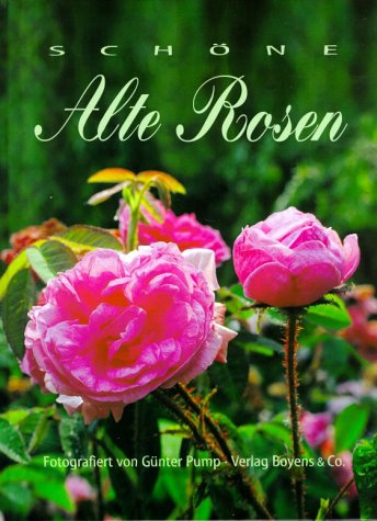 Sch�ne alte Rosen