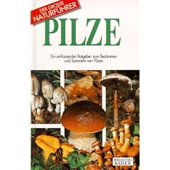 Pilze: Ein umfassender Ratgeber zum Bestimmen und Sammeln von Pilzen