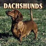 Dachshunds Mini Wall