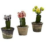 Nearly Natural 4842-S3 Colorful Cactus, Set of 3