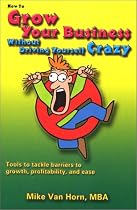 How to Grow Your Business Without Driving Yourself Crazy (Grow Your Business Without Driving Yourself Crazy, 1)