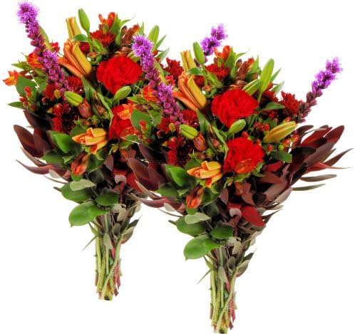 Fresh Cut Fall Flowers - Kessiah Double Bouquet - 50 Stems - Rich Autumn Colors - Free Fast Shipping