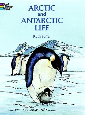 Childrens Toyshop  Books : Arctic and Antarctic Life Coloring Book