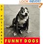 Funny Dogs Postcard Book