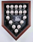 17 Ball Home Plate Shaped Black Display Case