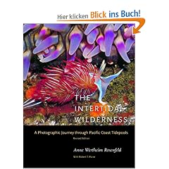 The Intertidal Wilderness: A Photographic Journey Through Pacific Coast Tidepools