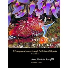 The Intertidal Wilderness: A Photographic Journey through Pacific Coast Tidepools