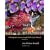 The Intertidal Wilderness: A Photographic Journey through Pacific Coast Tidepools
