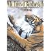 Wild Tigers of Bandhavgarh: Encounters in a Fragile Forest