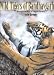 Wild
Tigers
of
Bandhavgarh:
Encounters
in
a
Fragile
Forest