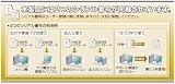 ESET Smart Security V4.0 10万本限定パック