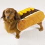 Halloween Costume Large Dog Hotdog With Mustard