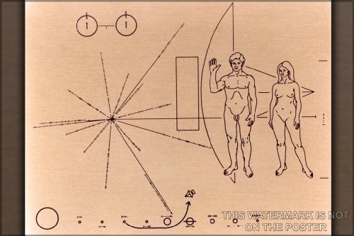 Pioneer Probe Plaque - 24x36 Poster