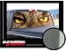 All Products : OWL -16"x54" - Rear Window Graphic -compact p/u truck back vinyl