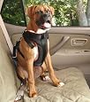 Solvit 62296 Pet Vehicle Safety Harness, Large